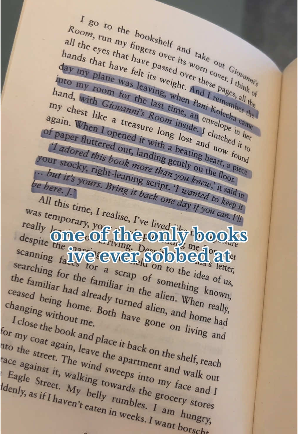 if you did like call me by your name, take this even better.  “Poland, 1980. Shy, anxious Ludwik has been sent along with the rest of his university class to an agricultural camp. Here he meets Janusz - and together they spend a dreamlike summer falling in love. But with summer over, the two are sent back to warsaw. confronted by the scrutiny, intolerance and corruption of life under the Party, Ludwik and janusz must decide how they will survive; and in their different choices, find themselves torn apart.” #swimminginthedark #BookTok #mlm #mlmbooks #lgbtbooks 