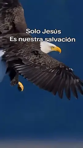 Que Dios te bendiga 
