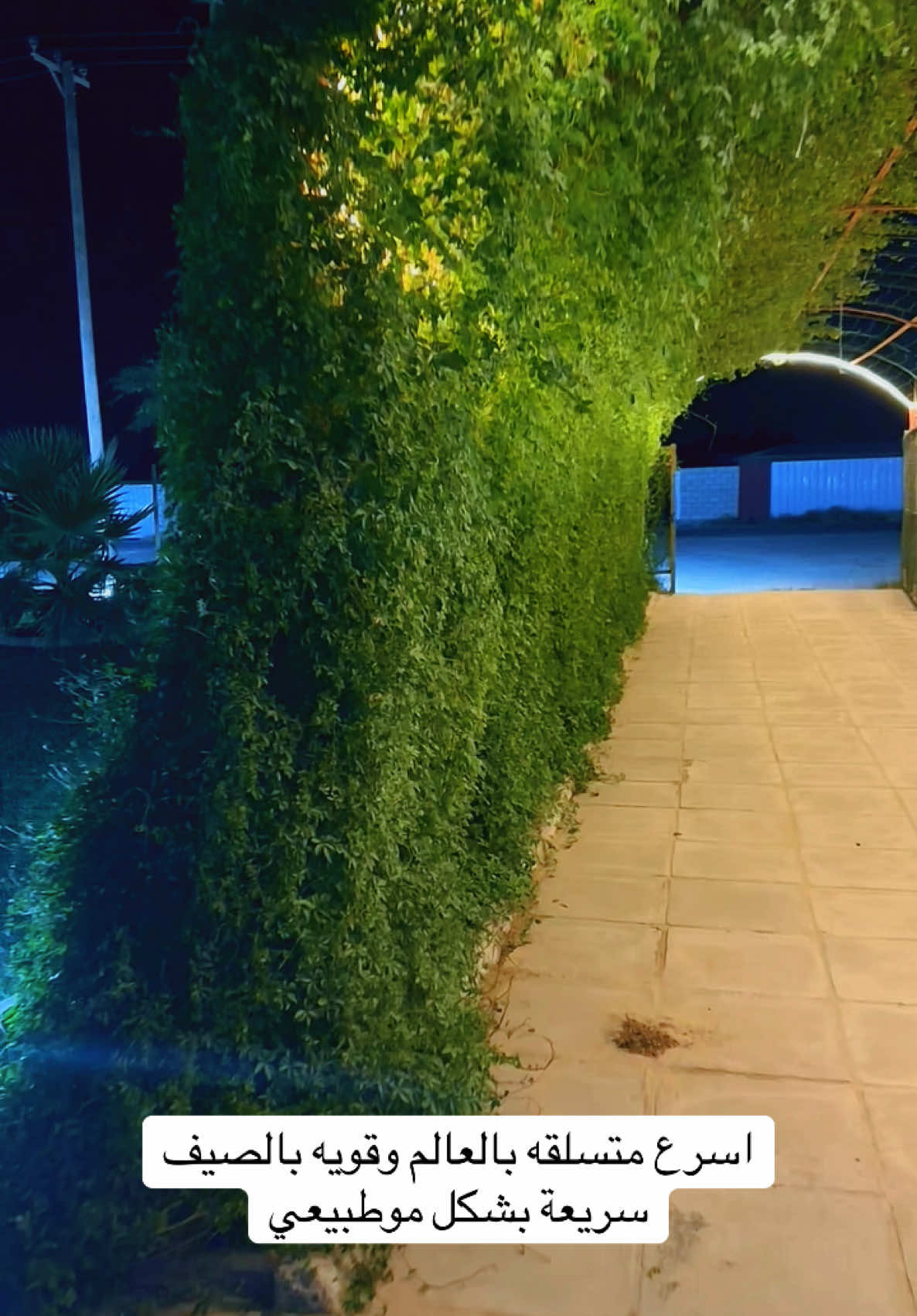 60360389 واتساب