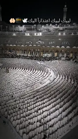 #الله #قران_كريم #دعاء #يارب #ابذكر_الله_تطمئن_القلوب🌸🍃 #القران_الكريم_راحه_نفسية😍🕋 #اللهم_صلي_على_نبينا_محمد 