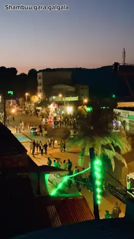 #vira #flypシ #ethiopian_tik_tok🇪🇹🇪🇹🇪🇹🇪🇹 #welega #oromotiktok❤️💚❤️ #shambu #horroguduruu 