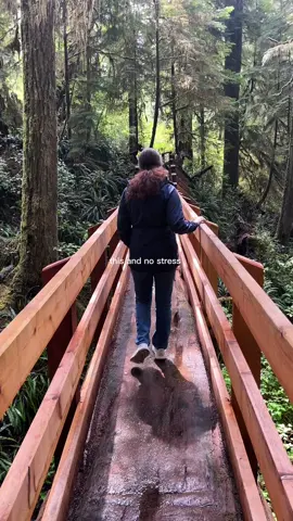 Forest hikes >>>  #foresthikes #Hiking #Summer #vacation 
