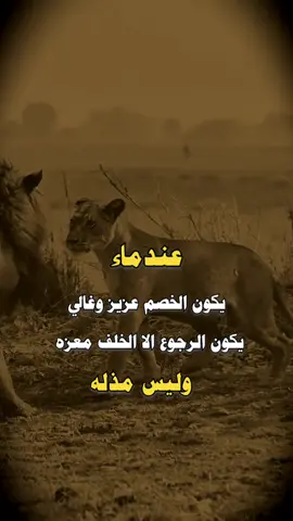 #لايك_متابعه_حركة_الاكسبلور❤🦋explorer #