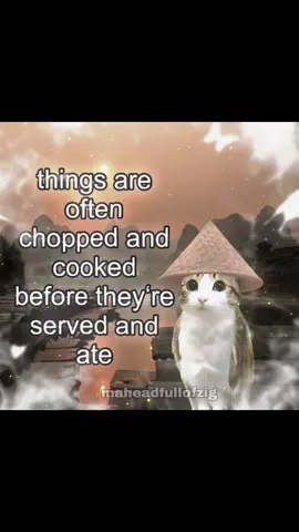 let that sink in #maheadfullofzig #real #literallyme #rizzler #meowl #relatable #vrother #freakbob #tro #tro #brainrot #fy #memestiktok #peak #trother #vro #fypage #fwu #cooked #lore #ifwu 