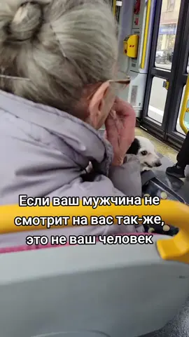 Ничего милее сегодня не будет😍 #собаки #собакадругчеловека #любовь❤ 