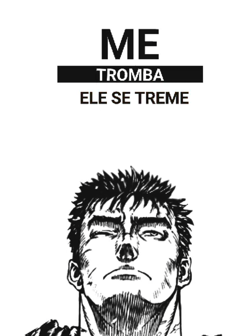 Link mandou bem demais nessa. Sim o combo link do ZAP + Berserk fica bom #lyric #berserk #linkdozap  #alightmotion_edit #edit 