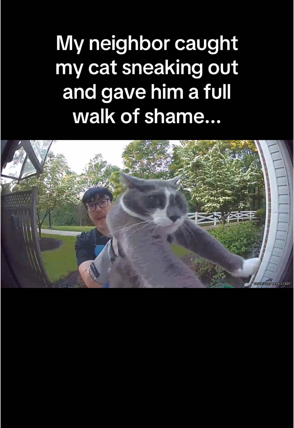 Those were some crunchy MEOWS 🤣 #RoadTo18M #Pubity  (Kathy Nguyen via ViralHog)