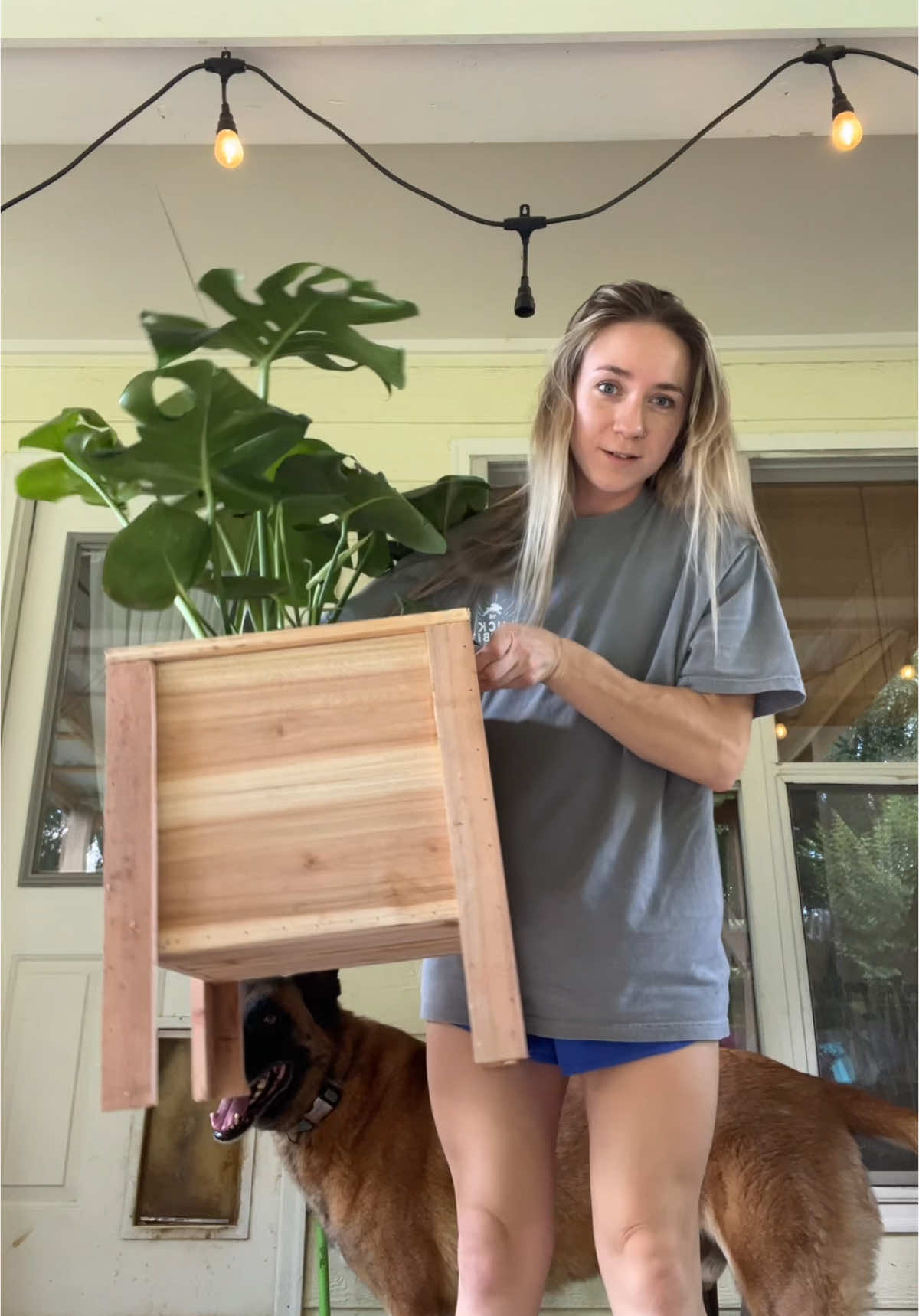 The direction of this video: ↗️🐝↘️ 💢↙️🪴↖️🤕 #fyp #plantmom #monstera #twinmom #bees 