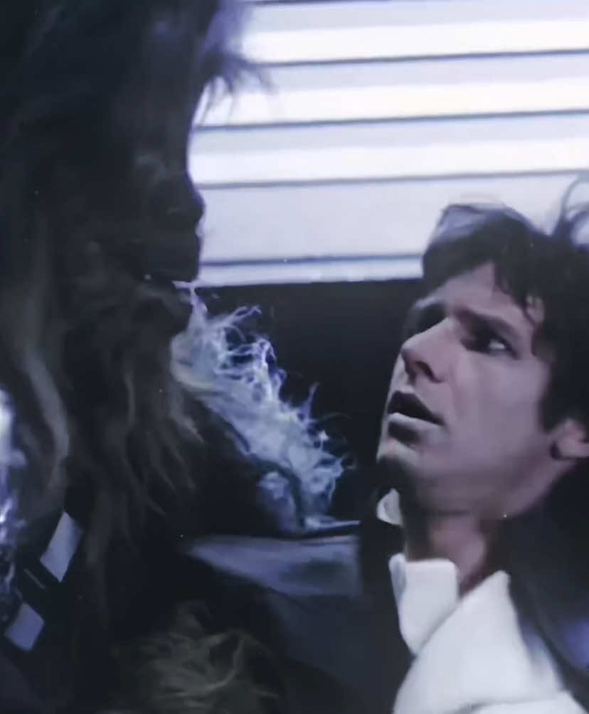 Me and my dog core #hansolo #hansoloedit #chewbacca #chewie #theempirestrikesback #starwars #starwarsedit #fyp #foryou 