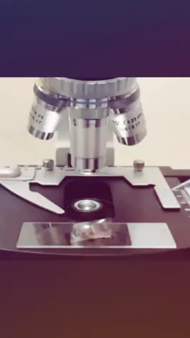 جذبني ماشفت مثله 🥰😘😍 #fyp #foryou #foryoupage #viral #tiktok 