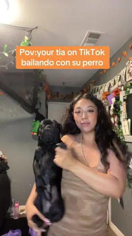 Pugsley is over me #fyp #fridaymood #doggie #perro #tia #hello #like 