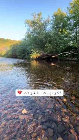 #سوريا #الفرات #غرباء #deutschland🇩🇪 #berlin 