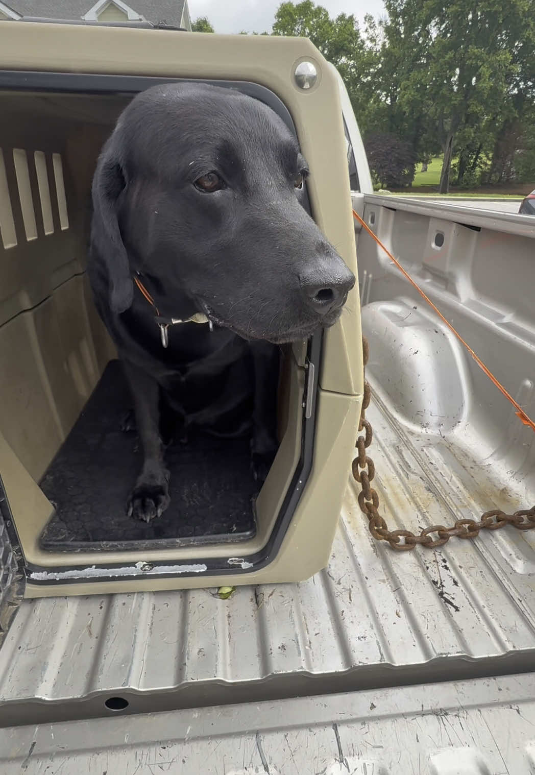 May is Pet Safety Month, and one of the biggest investments I made in Odin’s safety is the Gunner Kennel.  Not only is Odin my hunting buddy who I have poured so much money and time into, he’s also a member of our family. Just like I make sure I take him to the vet, I want to make sure I keep him safe and healthy as much as I can. This month, I encourage you to check out Gunner and the Gunner accessories for ways you can keep your pet safe. #gunnerkennels #mansbestkennel #PetSafetyMonth #gunnerpackleader #odintheduckdog #labsoftiktok #pets #dogs #waterfowl #DogTraining #ducks #mallards #hunting #labs #drakewaterfowl #drakefieldexpert #Outdoors @GUNNER 