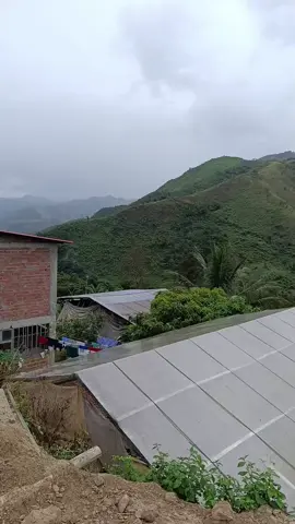 AL FRENTE TERRITORIO DE ECUADOR 🇪🇨  C.P. 