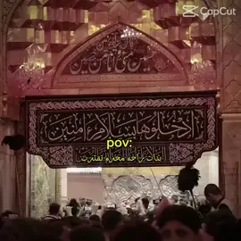 #مشاهدات 