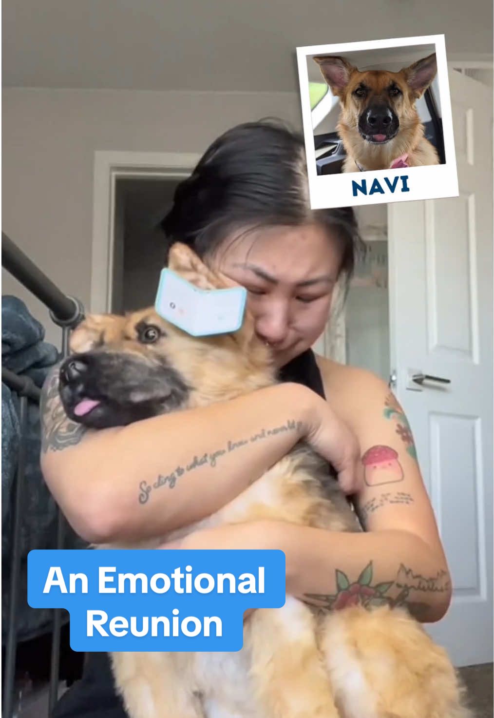 For these people, it’s more than just a plushie. It’s allows them to hug their past pets forever 💙 #dogsoftiktok #petloss #griefjourney #dog #dogdad #dogmom #missyou #rainbowbridge 