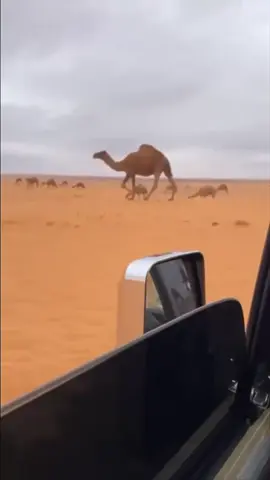 ‏الشتاء💤❤️‍🔥