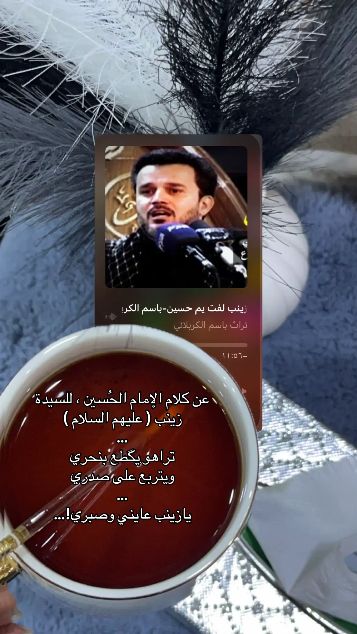 #باسم_الكربلائي #pfy #pyfツ #زينب_لفت_يم_حسين 