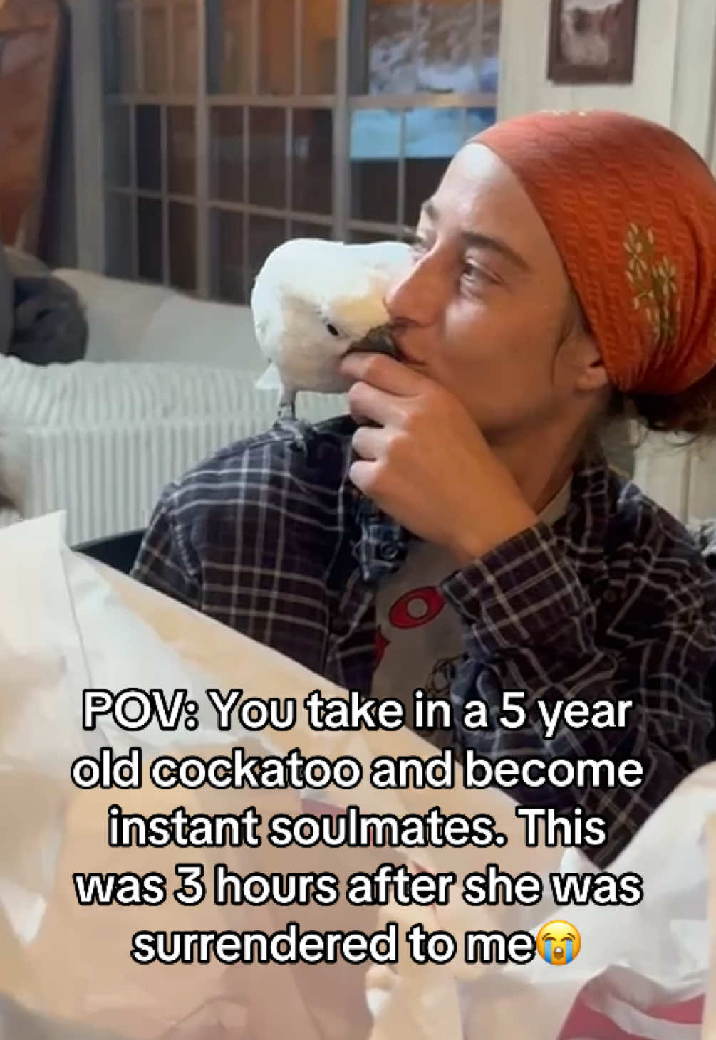 Meant to be ❤️ #cockatoo #soulmates 