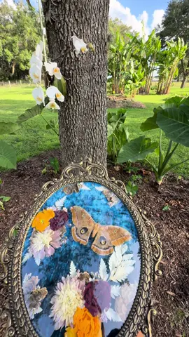 I found @Hannah here on TikTok as one of her videos popped up on my FYP and I just had to have one of her pieces. My very own piece of art finally came to me today. Go check her stuff out she’s very talented and I am absolutely obsessed with moths and butterflies and what a beautiful way to honor them by making them into such beautiful pieces of art. 