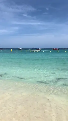 Isla barú - Cartagena Colombia 🇨🇴 #turismo #lomasviral #baru #cartagenadeindiascolombia #fypシ゚ 