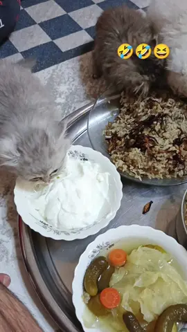 #بورصة_كنت_ميدان #هشتاك_تيك_توك #مشاركة #اكسبلورexplore #بيسو  #تركية🇹🇷 