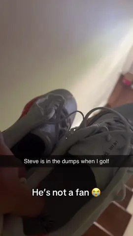 Don’t think Steve likes golf 😅 @foreplay (via:Cmonkeefer/ig) 