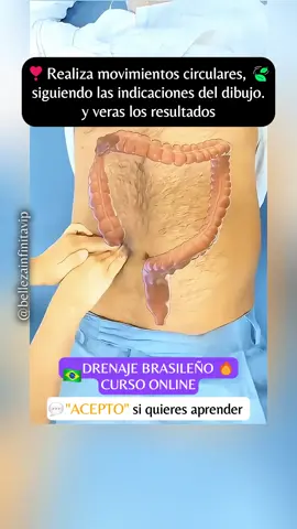 💧Este es el mejor drenaje que puedes hacer para eliminar el estreñimiento 🌿, al aprender estos movimientos podrás ayudar a evacuar ✨ y eliminar el estreñimiento haciendo notoria la reducción de tallas. Puedes aprender a realizarlo de manera profesional 💼 y ofrecer resultados reductivos. #masajesreductores #drenajelinfático #rutinasfit #ejerciciosencasa #mujeres #spa #masajes #vientreplano #belleza #viral #masajesrelajantes #masajistaprofesional #fyp #mujer