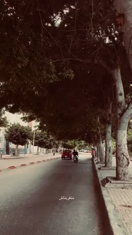 متعلق قلبي أنا بمكان.❤️‍🩹 ‏#fyp ‏#viral ‏#fyppppppppppppppppp ‏#foryoupage #اليسا 