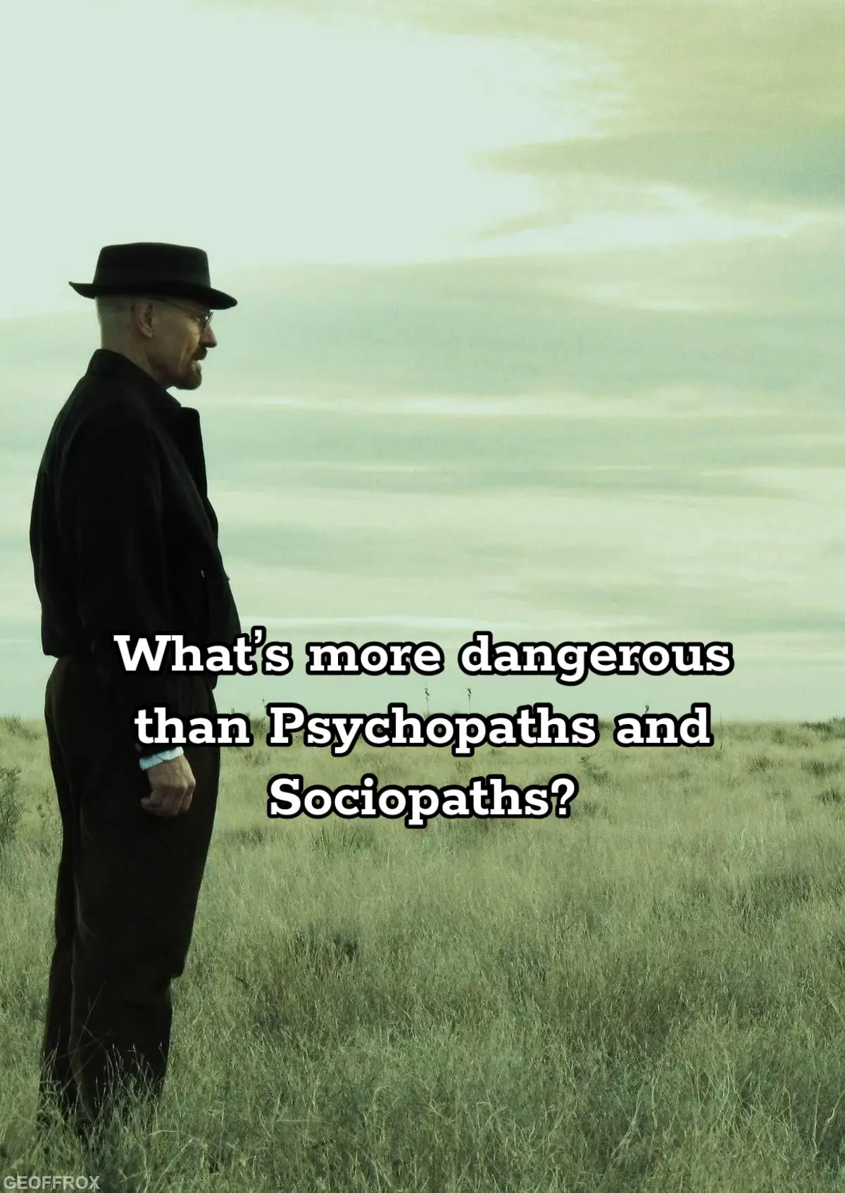 The most dangerous manipulators aren’t the ones without emotions—they’re the ones who have them and still choose power over morality. Here’s what makes Machiavellians deadlier than psychopaths and sociopaths. #mindset #fyp #darkpsychology 