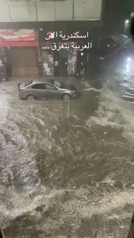 اسكندرية الان 