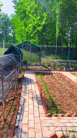 #Dream of the Yard #Rural Life #Share the Planting Life