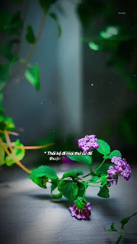 Buông bỏ những suy nghĩ tiêu cực để tô điểm cuộc sống ý nghĩa hơn, thuận theo tự nhiên, khó khăn thì đối diện, hạnh phúc thì đón nhận.  #viết_lại_thanh_xuân #lờihayýđẹp #thang5 #truongthanh #cuocsong #cuocsongynghia #binhyen #songtichcuc #giatricuocsong 