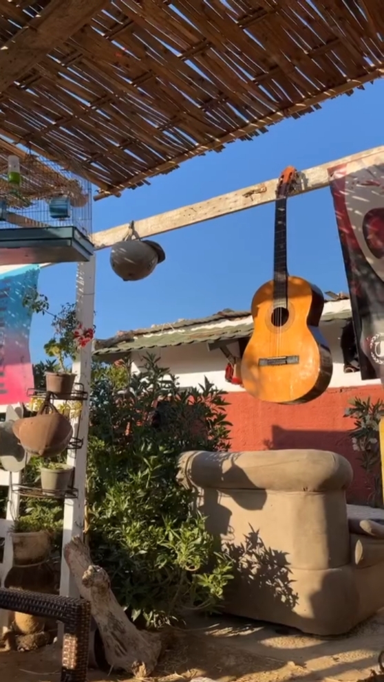 #bienvenue chez walid 🥰 ❤marhb bikou❤🐴 baldes a chval 🐴📞numr 0793518429📞 #oran senia kahdmin tout les jours #شعب_الصيني_ماله_حل😂😂 #شعب_الصيني_ماله_حل😂😂 #المشاهدات #اكسبلور  #fyp #fyyyyyyyyyyyyyyyyyyy #toutlemonde🌍 