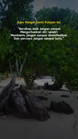 #CapCut 
