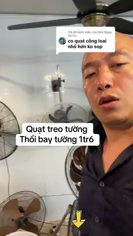 Trả lời @Mot Ngay Se Co quạt treo tường thổi bay từng 
