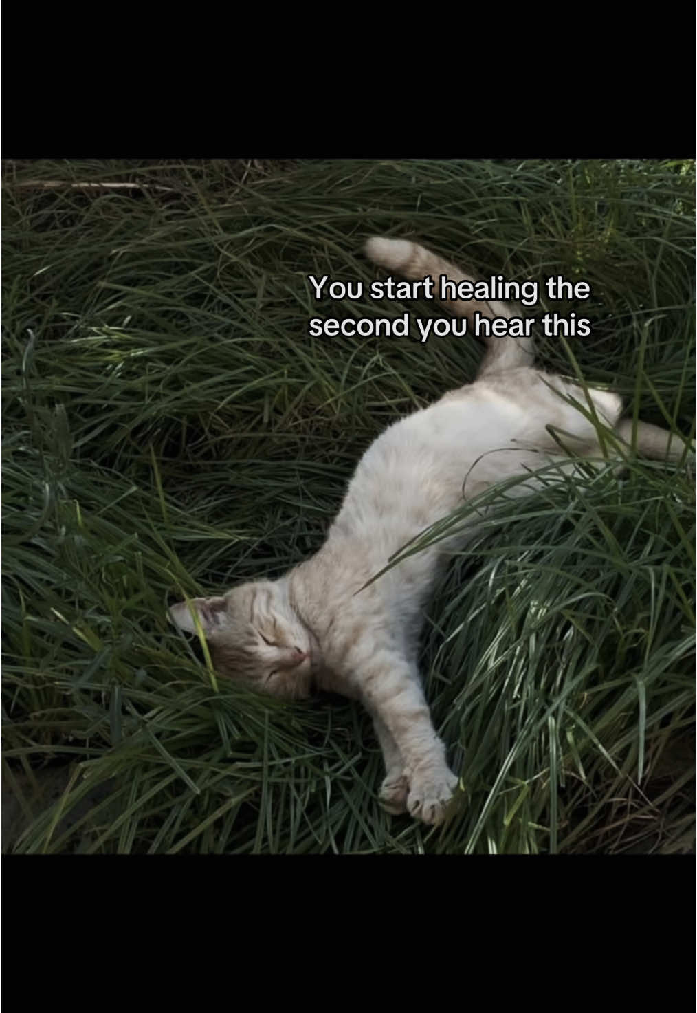 #قرآن_كريم_راحة_نفسية #اكسبلور #قرآن_كريم #explore #عشر_ذي_الحجة 