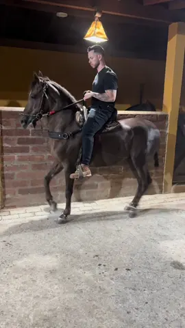 Como te amo soprano  #caballosbailadores #caballostiktok #caballosparqueados #caballos #agropecuario 