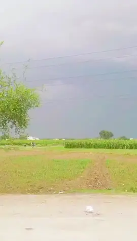 pyara mohsam 🤗❤️