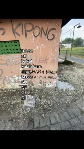 🧢