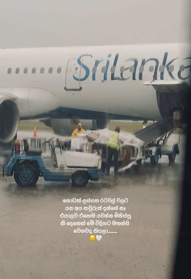 කවුරුත් වැඩිය දැකල නැති දේවලුත් තියෙනවා..🥹#semuthu_snapshotz #fypシ #negombo #foruyou #srilankanairlines 