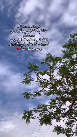 اللهم اني استودعتك من هم اعز علي من نفسي و احب الاشياء على قلبي فلا تريني بهم بأس يبكيني ❤️‍🩹 #تصويري📸 #foryoupage #اللهم #صباحيات #هدوء #يارب_دعوتك_فأستجب_لي_دعائي #موسيقى #اقتباسات #عبارات #اقتباسات_عبارات_خواطر 