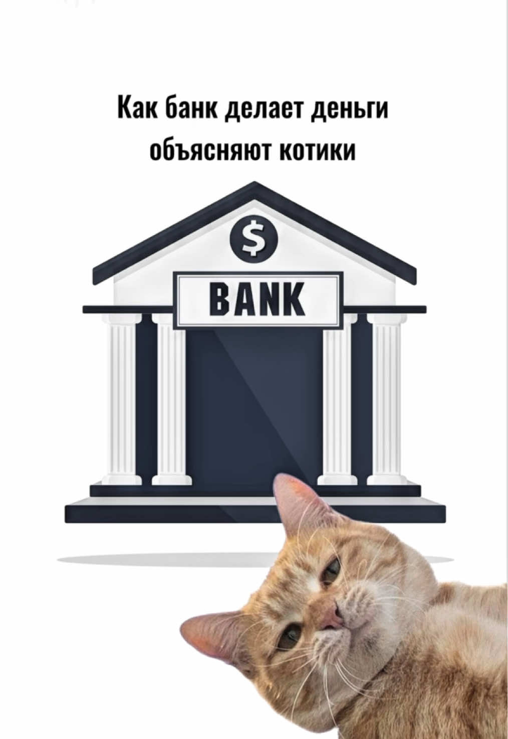 Котик обьясняет как банк делает деньги😻