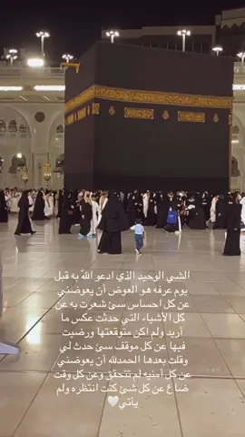 يارب #يوم_عرفه #صباح_الخير #صلوا_على_رسول_الله #يارب #عرفة 