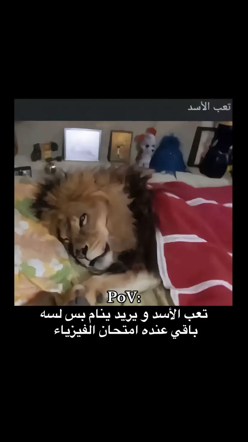 #يارب_فوضت_امري_اليك #يارب_دعوتك_فأستجب_لي_دعائي #الثالث_متوسط #الامتحانات_الوزارية #الثالث_دفعه_2025 #رابع_علمي #اعدادية #مالي_خلق_احط_هاشتاقات🦦 #الشعب_الصيني_ماله_حل😂😂 #fypシ゚ #foryou 