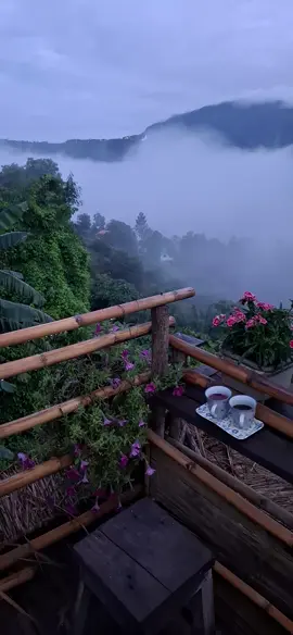 #ม่อนซ่อนแก้ว🌻🌱🌾 #ม่อนซ่อนแก้วคาเฟ่ #คาเฟ่ #เขาค้อ 