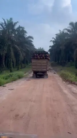 💥🚀💥#fyp #fyppppppppppppppppppppppp #fypcuokkkkkkkkkkkk #fypシ゚ @Ferdy PW @anggaprayoga @MasFebri F @Aditya Ramdani @Wahyu S 