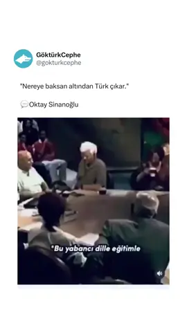 Nereye baksam altından Türk Çıkar