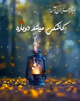 #معين #عشق #كوردستان #خانقين ##may #متابعين #likе#❤️🌹❤️🌹❤️🌹🌹❤️🌹❤️🌹💕😔😔😔💔💔💔🥰🥰🥰❤️🌹#😔😔😔😔💔🙏❤️🌹😔🥰😔