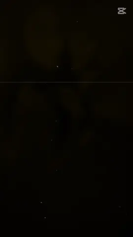 #CapCut 